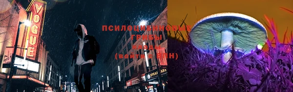 кокаин колумбия Дмитриев